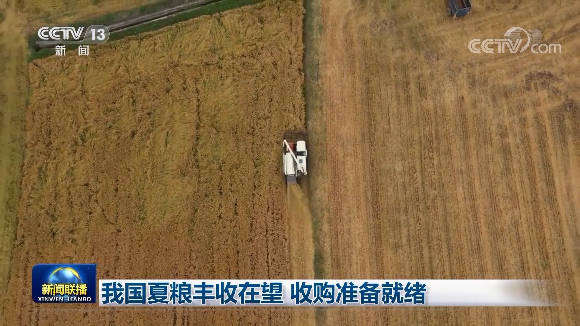 我国夏粮丰收在望 收购准备就绪