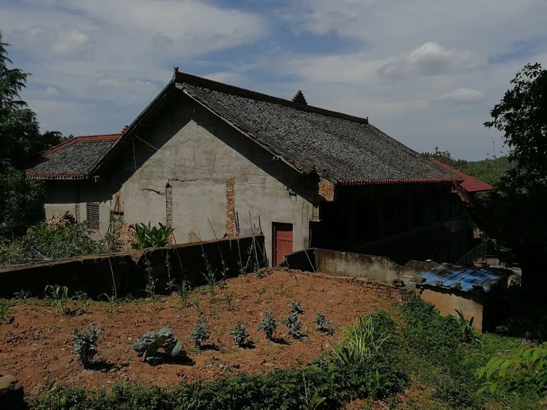 困境僧人孤寡老人   他们微弱的声音需要被聆听