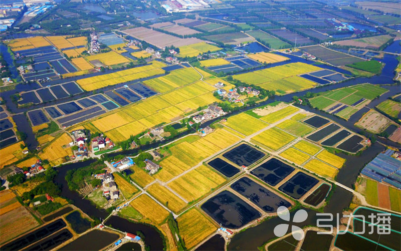 守好沃土良田，筑牢粮仓“地”基